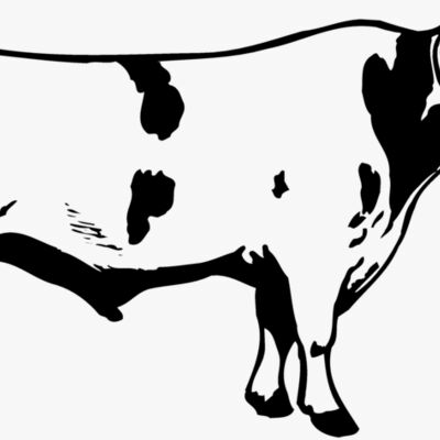 COW020 Thumbnail