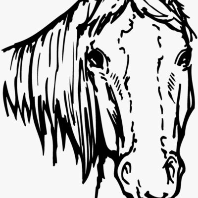 HORSE004 Thumbnail