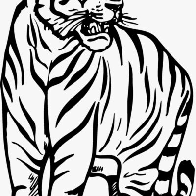 TIGER001 Thumbnail
