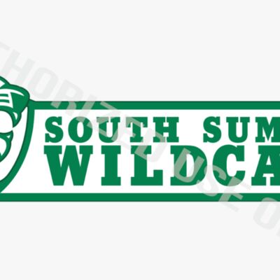 South Summit Logo Thumbnail