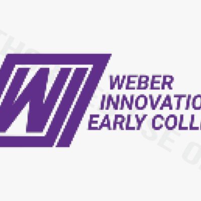 Weber Innovation Text Logo Thumbnail