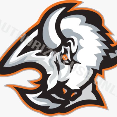 Valley High School Logo Thumbnail