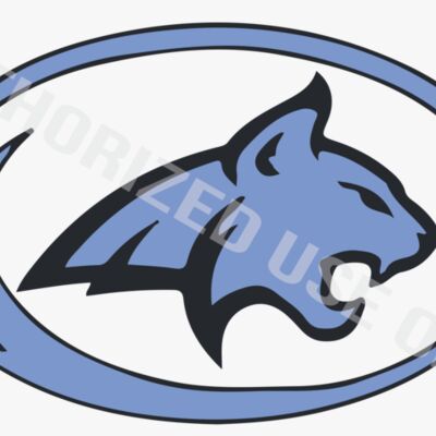 Sky View High School Circle Logo Thumbnail