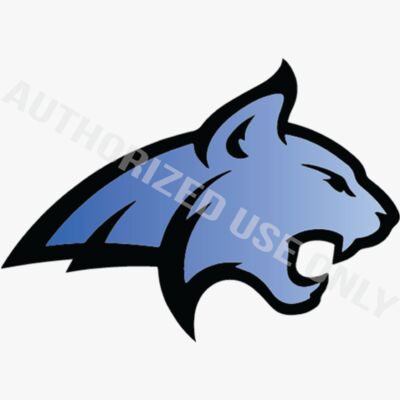 Sky View High School Mascot Logo Thumbnail