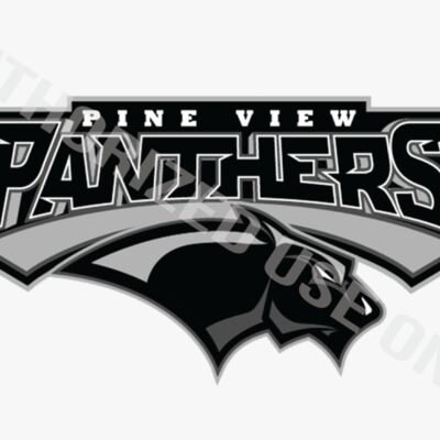 Pine View Middle School Logo Thumbnail