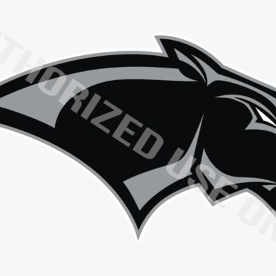 Pine View High School Mascot Thumbnail