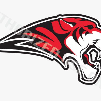 Hurricane High School Mascot Thumbnail