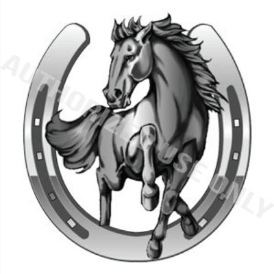 Stransbury High School Logo Gray Thumbnail