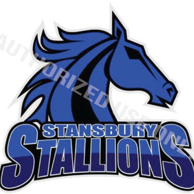Stransbury High School Logo Thumbnail