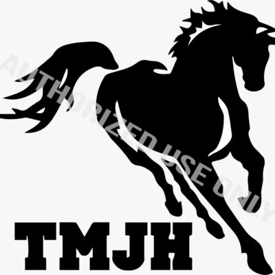 Treasure Mountain Junior High School Logo Thumbnail