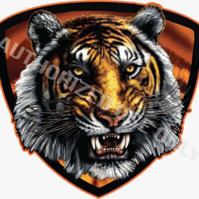 Ogden High School Mascot Logo Thumbnail