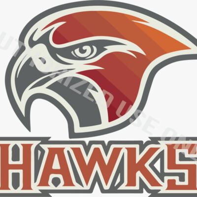 Hidden Valley Middle School Mascot Thumbnail