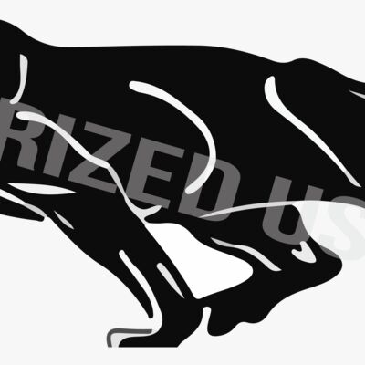 Dixon Middle School Mascot Thumbnail