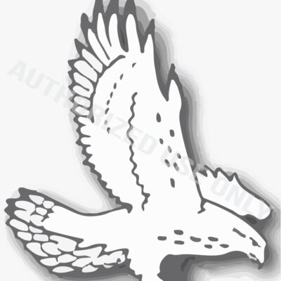 Snowcrest Jr. High School Logo Thumbnail