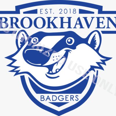 Brookhaven Elementary School Mascot Full Thumbnail