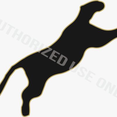 Cascade Elementary School Mascot Thumbnail