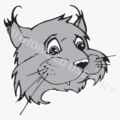 Lehi Elementary School Mascot Thumbnail