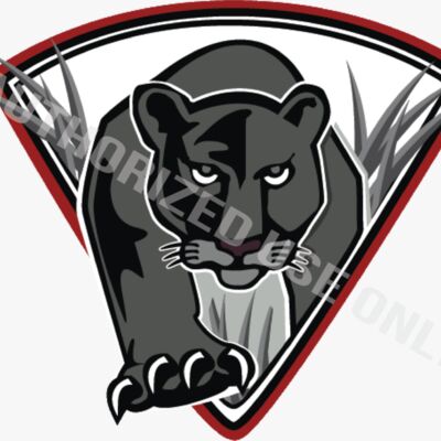 Peruvian Park Elementary School Logo Thumbnail