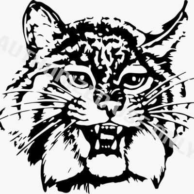 Willow Springs Elementary School Logo Thumbnail