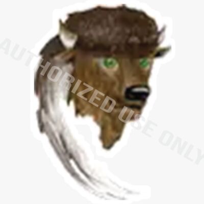 Bluff Ridge Elementary School Logo Thumbnail