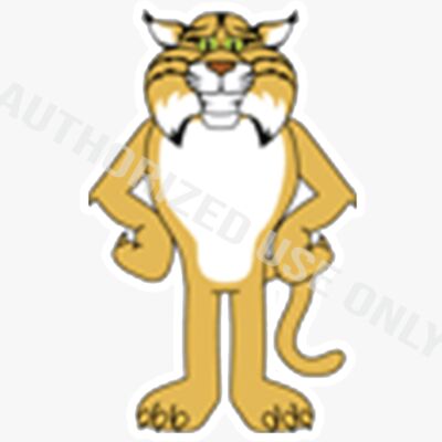 Bountiful Elementary School Mascot Logo Thumbnail