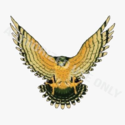 Foxboro Elementary School Logo Thumbnail