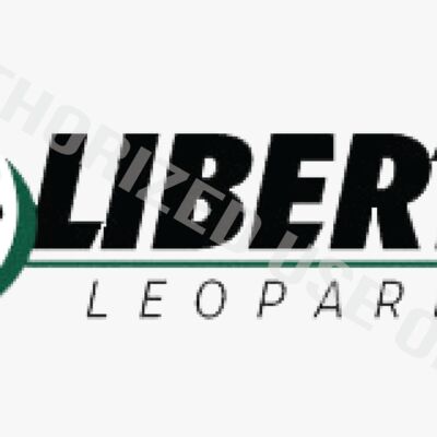 Liberty Elementary School Thumbnail