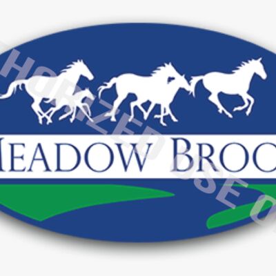Meadow Brook Elementary School Logo Thumbnail