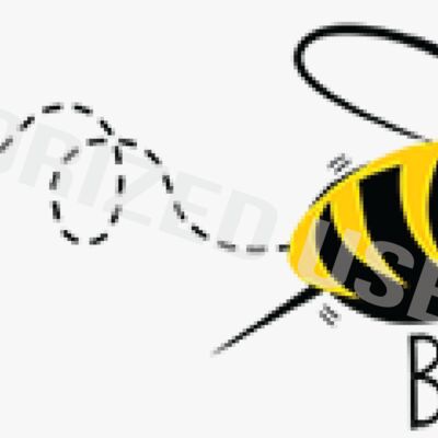 Park View Elementary School Logo Thumbnail