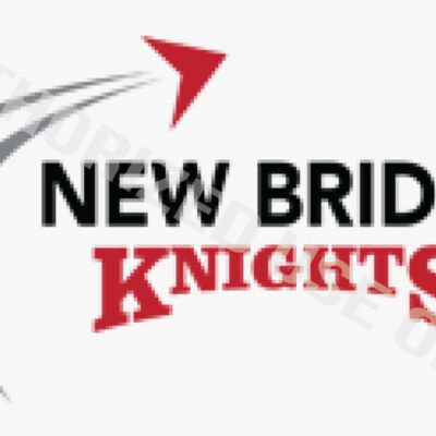 New Bridge Elementary School Logo Thumbnail