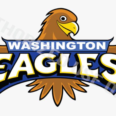 Washington Elementary School Logo Thumbnail