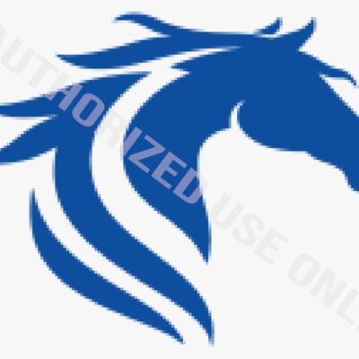 Country View Elementary School Logo Thumbnail