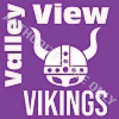Valley View Elementary School Logo Thumbnail