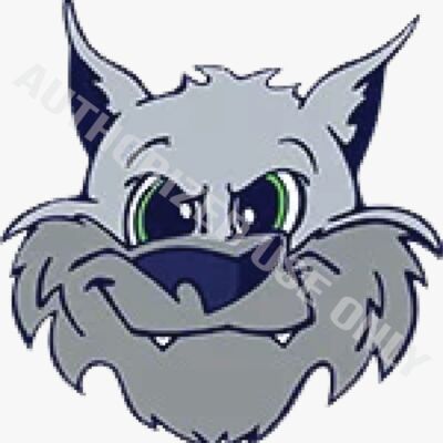 Silver Ridge Elementary School Logo Thumbnail