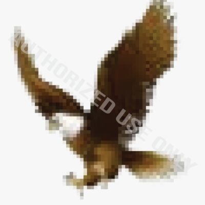 Municipal Elementary School Logo Thumbnail