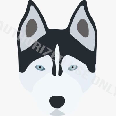 Middle Schools Thumbnail