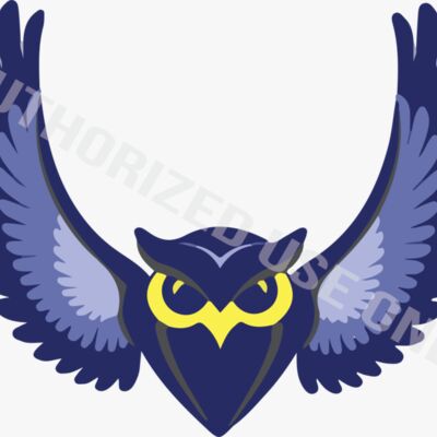 Springside Elementary Thumbnail