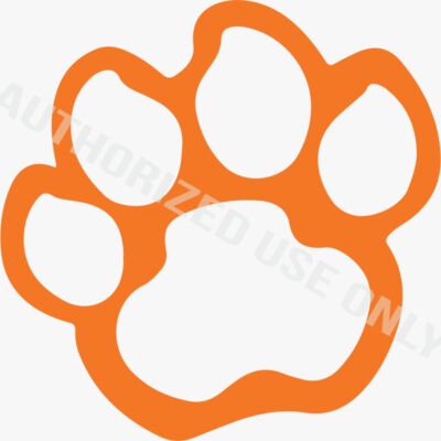 Canyon View Elementary School Thumbnail