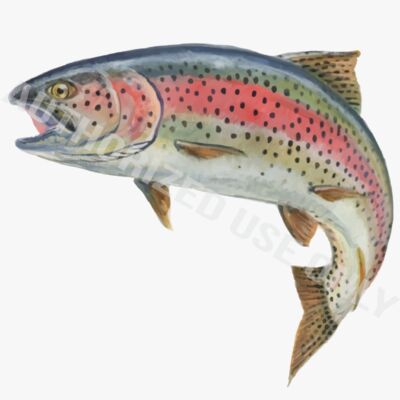 Elementary Schools Thumbnail