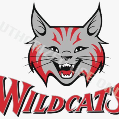 Crimson View Elementary Thumbnail