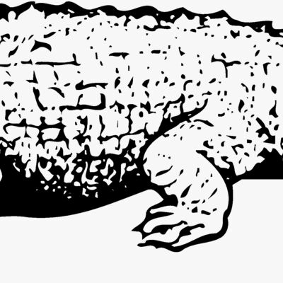 Crocodiles Thumbnail