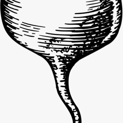 Vegetables Thumbnail